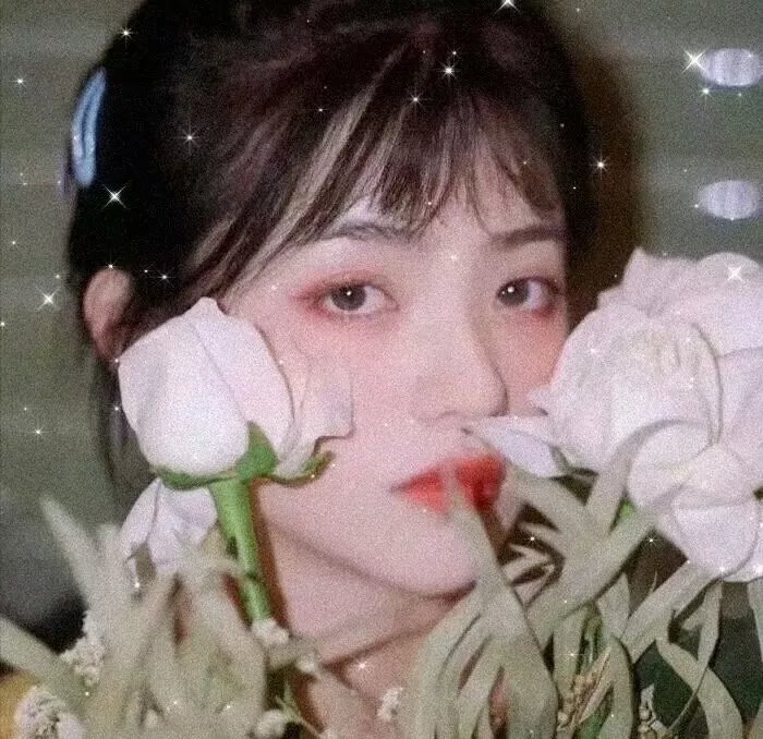 外母驾到粤语