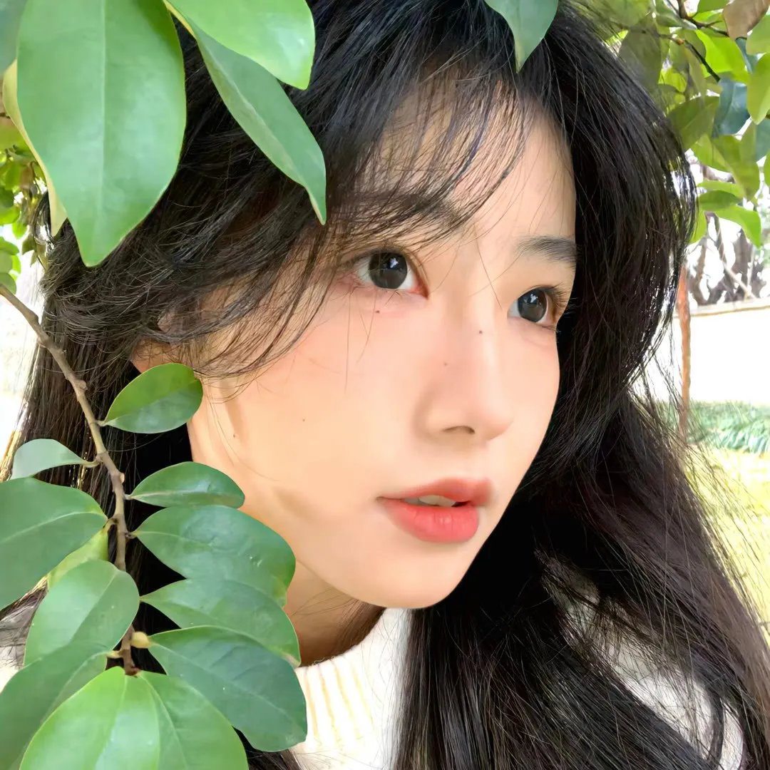 月光光鬼咁慌